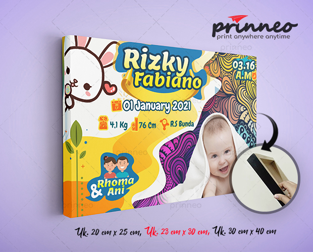 Baby Bio PictBox